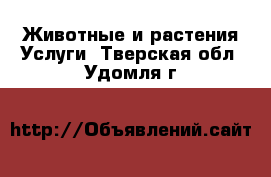 Животные и растения Услуги. Тверская обл.,Удомля г.